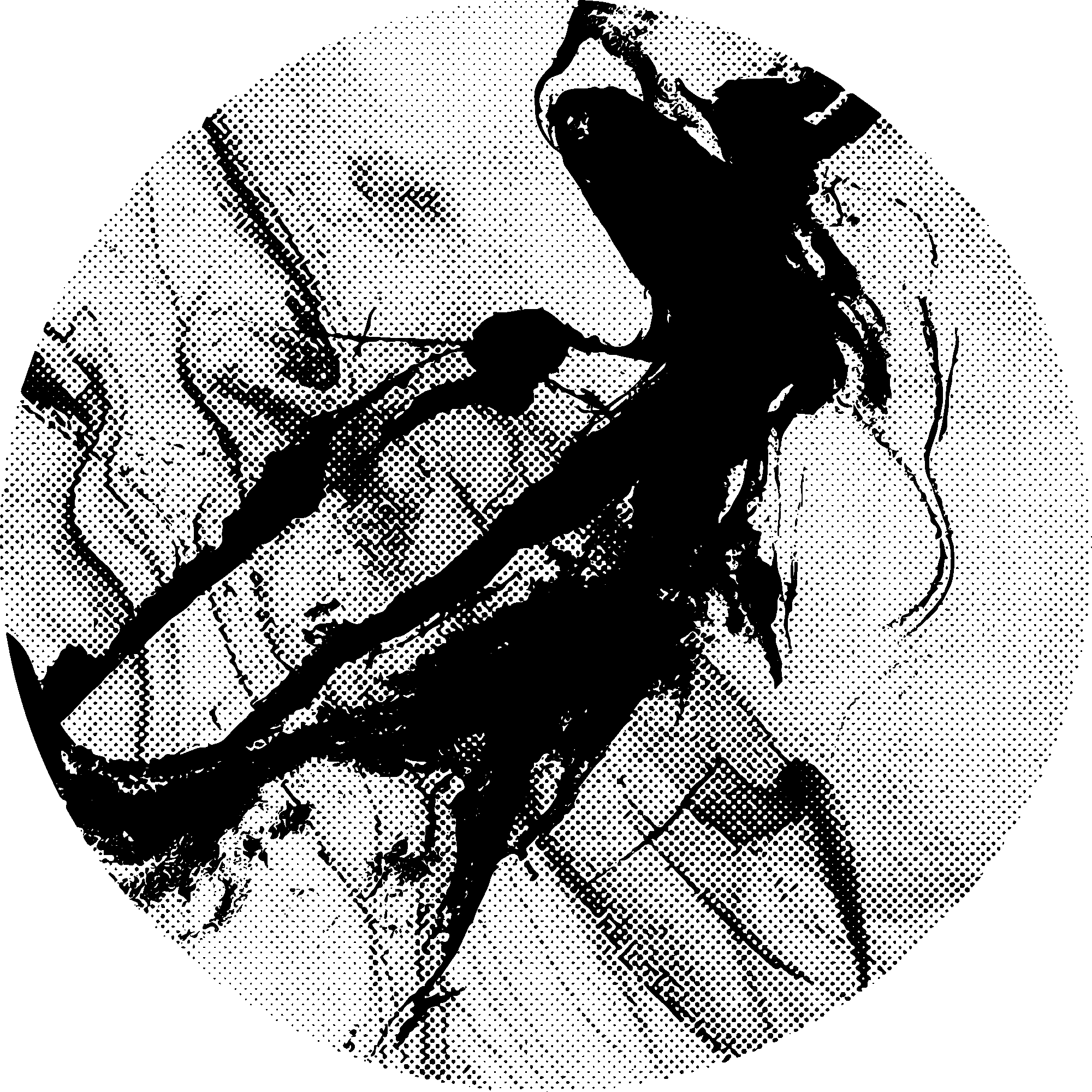 Creative logo design for Carrie Christopher Creative on a black background.